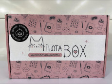 MilotaBox &quot;Duck Box&quot;