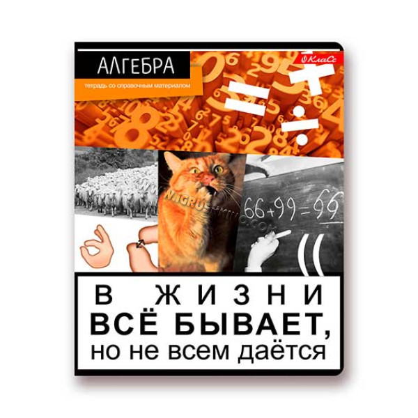 Тетрадь предм. 48л. А5+ SVETOCH "Сила правды-Алгебра" 48ТСК5_000123 (клетка)